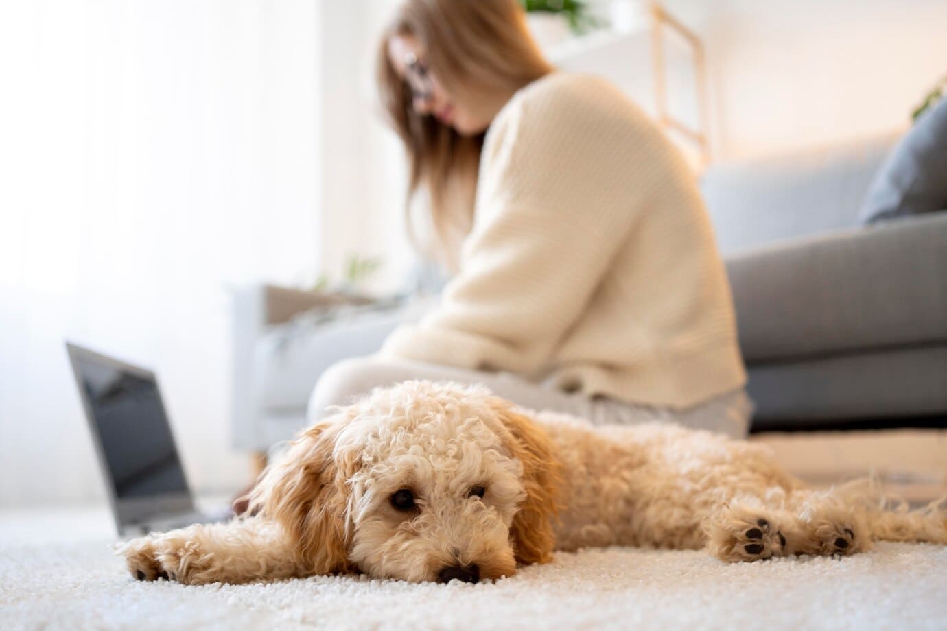 10 Signs Your Pet Needs Immediate Veterinary Attention